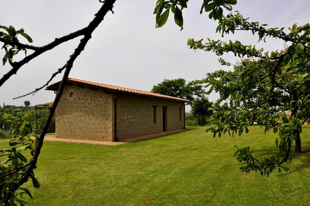 Agriturismo Nociquerceto Tarano Exterior foto